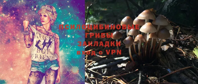 Псилоцибиновые грибы Magic Shrooms  где купить   Гаврилов Посад 