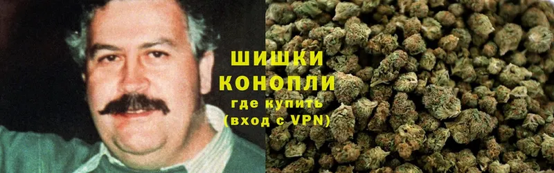 KRAKEN вход  Гаврилов Посад  Бошки Шишки White Widow 